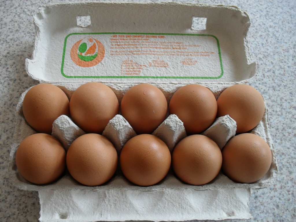 eggs protein shift nutrition 